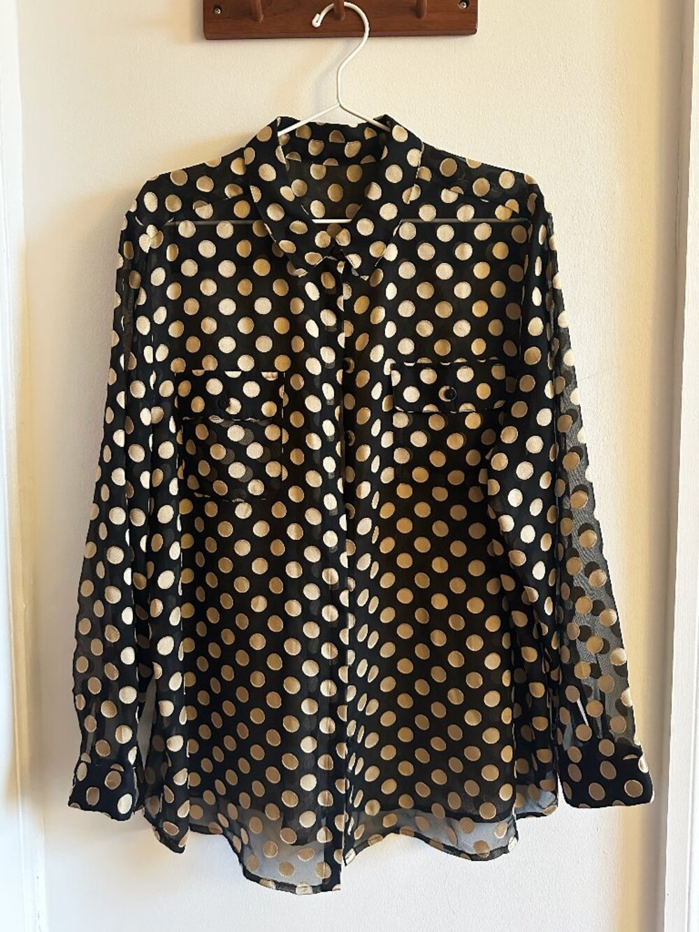 Vintage Polka Dot Sheer Collared Shirt